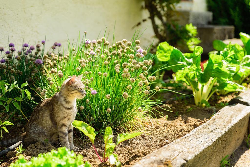 Masoe Des Chatards Bed & Breakfast Neuilly-le-Real Exterior photo