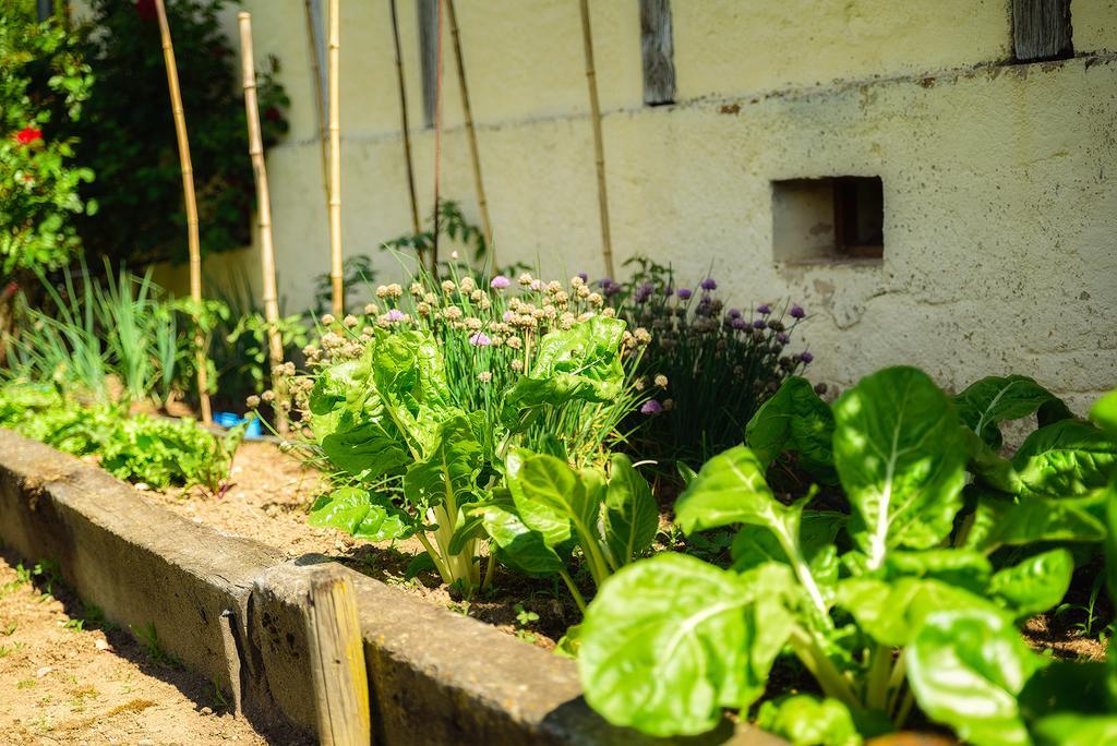 Masoe Des Chatards Bed & Breakfast Neuilly-le-Real Exterior photo